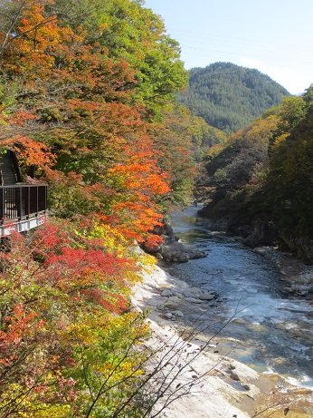 利根川の渓流