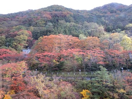 ホテルからの景色