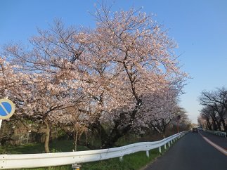 篠崎水門横